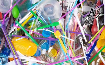 Allarme Plastica: ne ingeriamo troppa